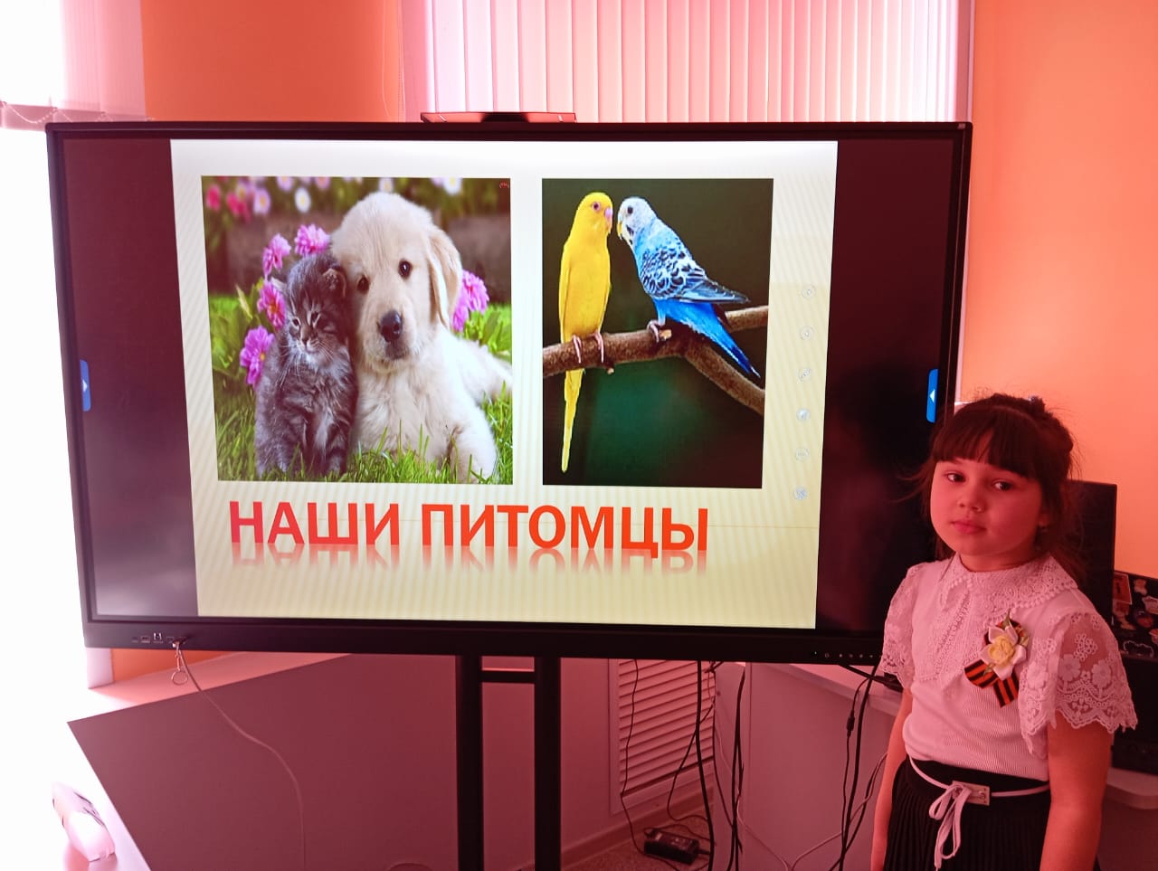 Сегодня на занятии детского объединения &amp;quot;Этот удивительный мир&amp;quot; в Центре &amp;quot; Точка роста&amp;quot; поговорили о домашних питомцах..
